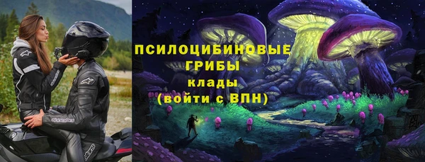 дмт Зеленодольск