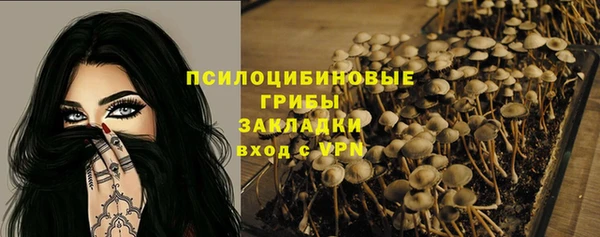 МДПВ Елабуга