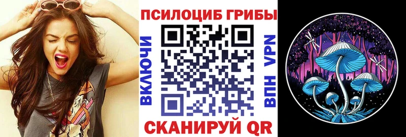 дарнет шоп  Лабинск  Псилоцибиновые грибы Psilocybine cubensis 